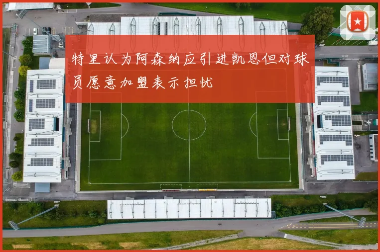 特里认为阿森纳应引进凯恩但对球员愿意加盟表示担忧