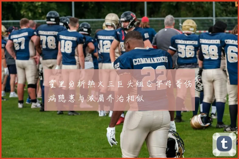霍里分析热火三巨头组合字母哥伤病隐患与浓眉乔治相似